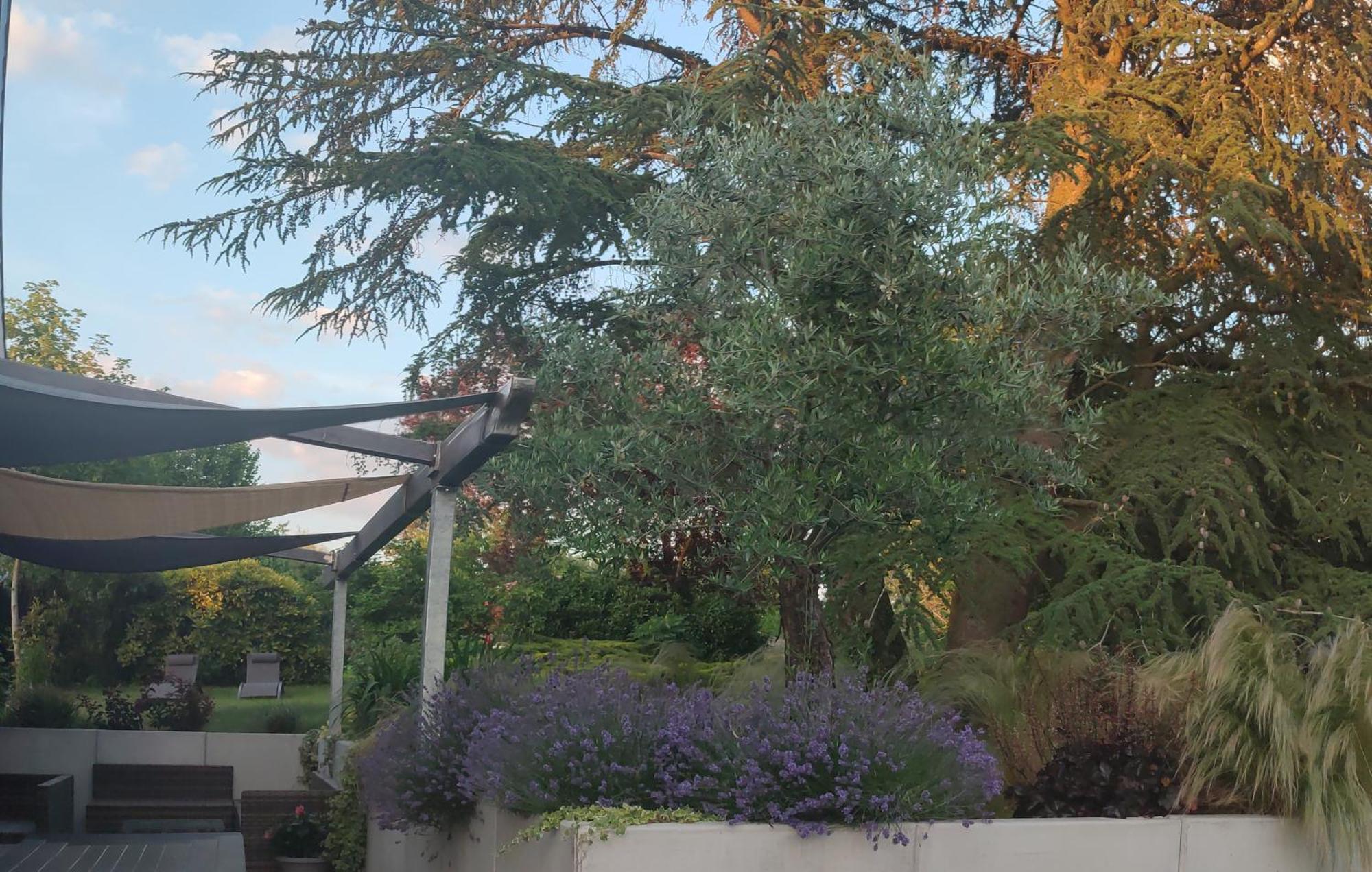 Hedoniste 1 Villa Herpy-l'Arlesienne Exterior foto
