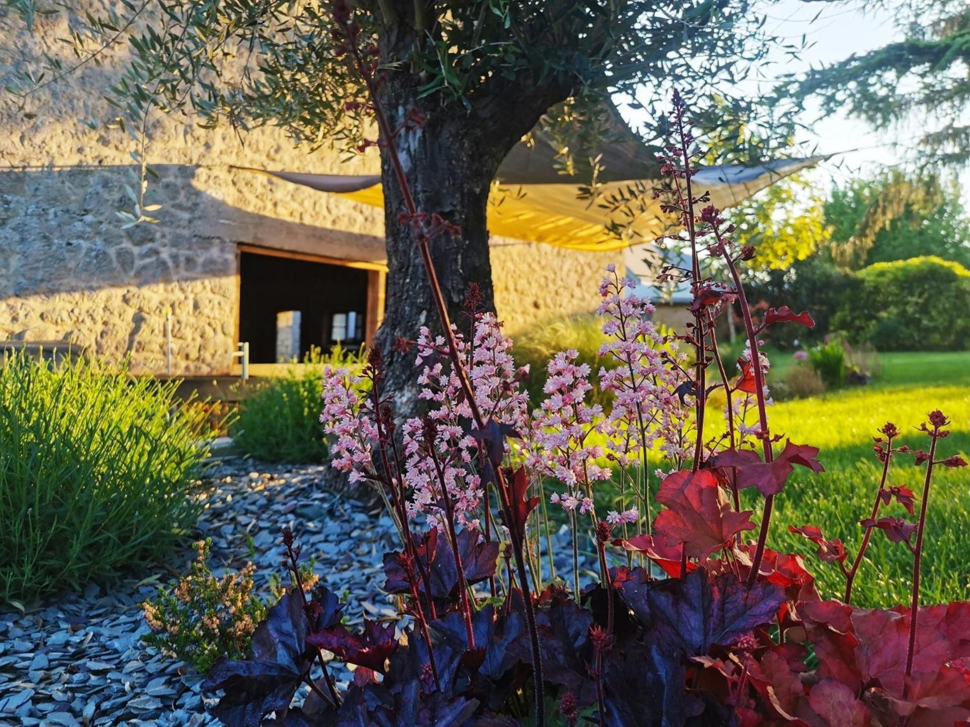 Hedoniste 1 Villa Herpy-l'Arlesienne Exterior foto